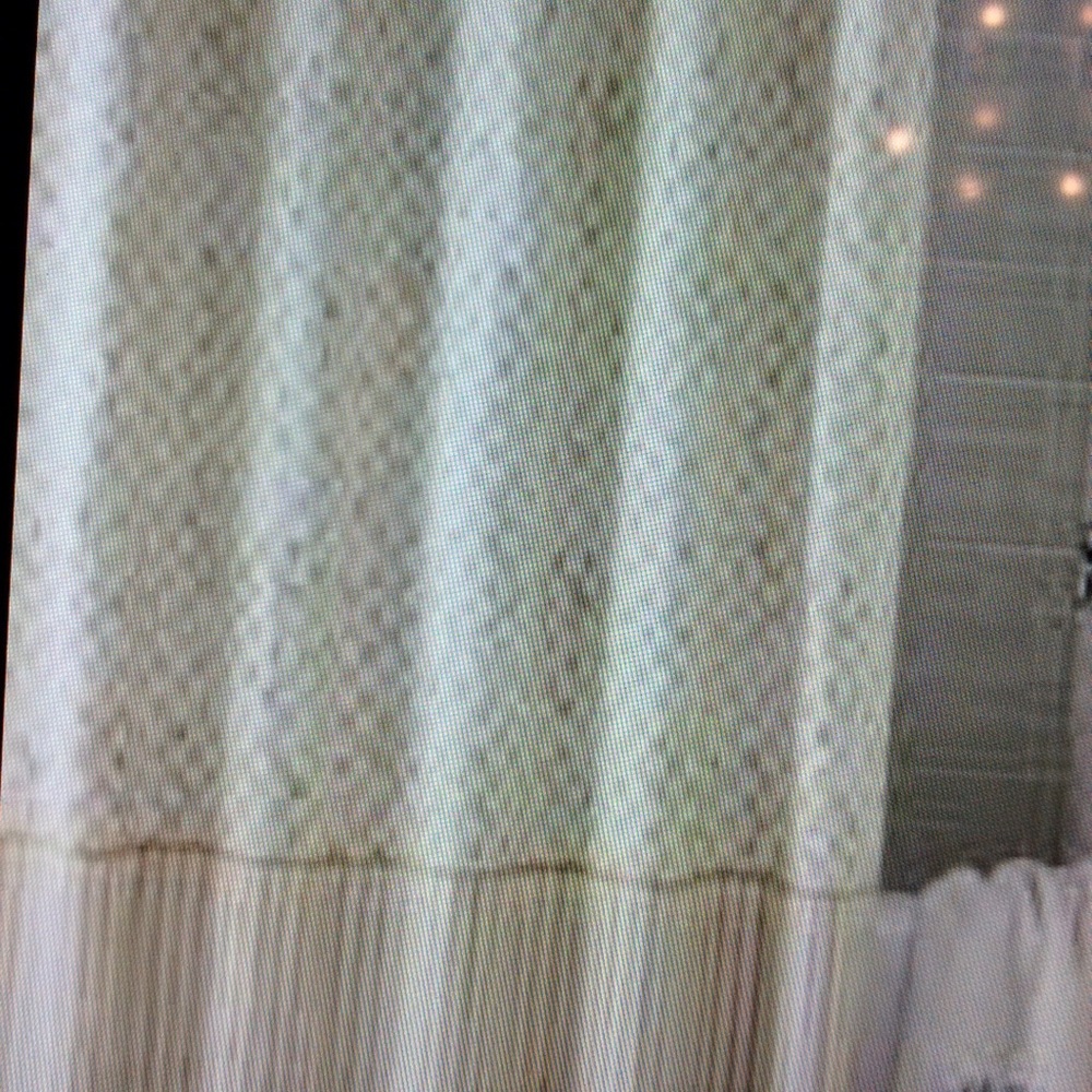 ISO Mackenzie Childs Parchment Shower Curtain